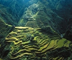 Banaue1