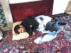 Iran5